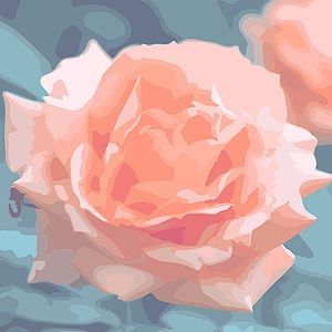 Meet your Posher, Adrianne